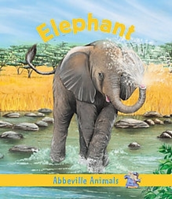 Book cover for Elephant: Abbeville Animals  Firm Sale