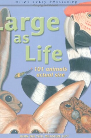 Cover of Large as Life