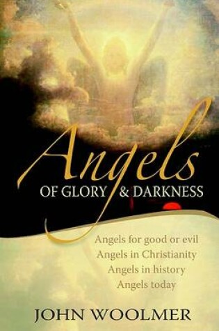 Cover of Angels of Glory and Darkness
