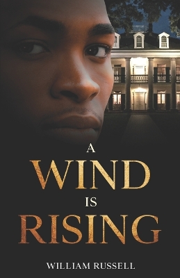 Book cover for A Wind is Rising