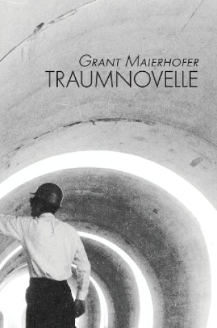 Cover of Traumnovelle