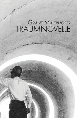 Book cover for Traumnovelle