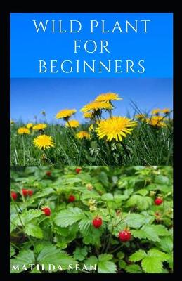 Book cover for Wild Plant for Beginners