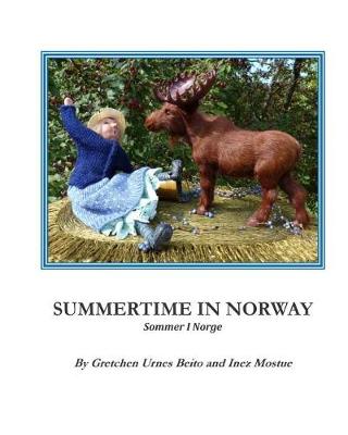 Book cover for Summertime in Norway