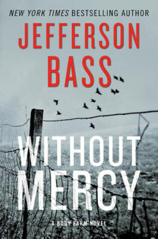 Cover of Without Mercy