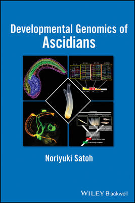 Cover of Developmental Genomics of Ascidians