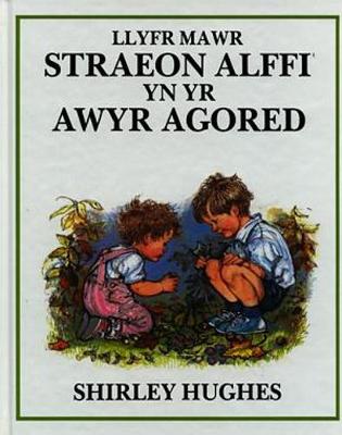 Book cover for Cyfres Alffi: Llyfr Mawr Straeon Alffi yn yr Awyr Agored