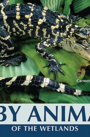 Cover of Baby Animals of the Wetlands