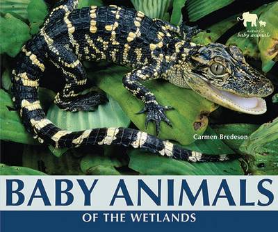 Book cover for Baby Animals of the Wetlands