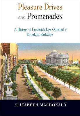 Book cover for Pleasure Drives and Promenades