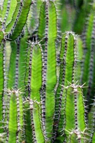 Cover of Green Cholla Cactus Journal