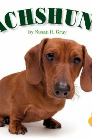 Cover of Dachshunds