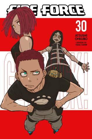 Cover of Fire Force 30