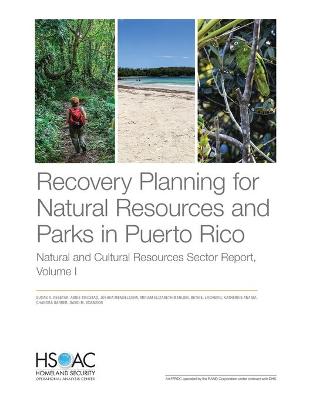 Book cover for Recovery Planning for Natural Resources and Parks in Puerto Rico