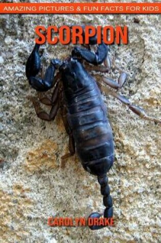 Cover of Scorpion