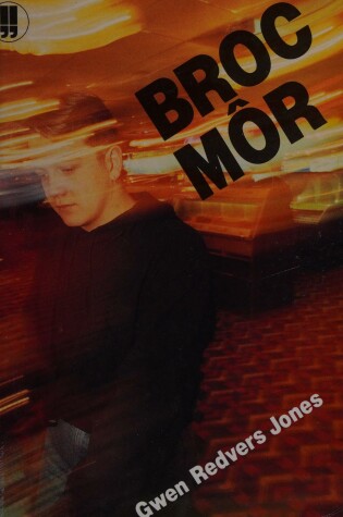 Cover of Broc Mor