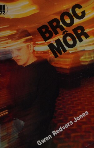 Book cover for Broc Mor