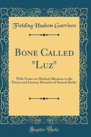 Cover of Bone Called "luz"