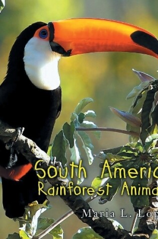 Cover of South America Rainforest Animals