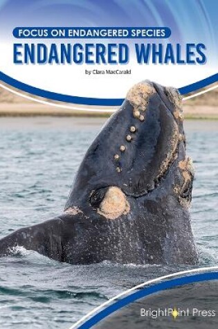 Cover of Endangered Whales