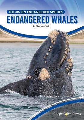 Book cover for Endangered Whales