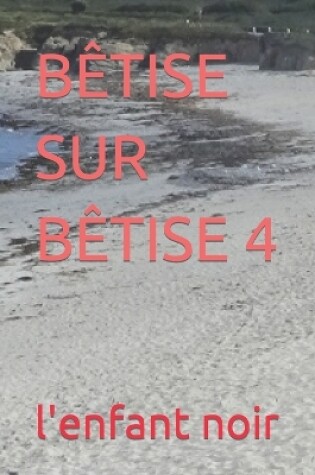 Cover of Bêtise Sur Bêtise 4