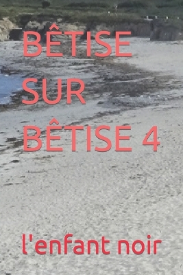 Cover of Bêtise Sur Bêtise 4