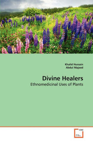 Cover of Divine Healers