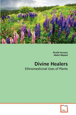 Book cover for Divine Healers