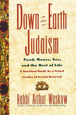 Book cover for Down-To-Earth Judaism