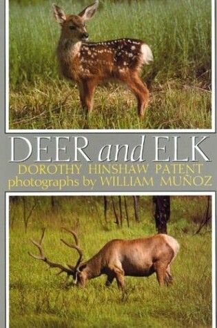 Cover of Deer and Elk