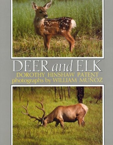 Book cover for Deer and Elk