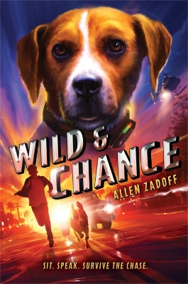 Book cover for Wild & Chance