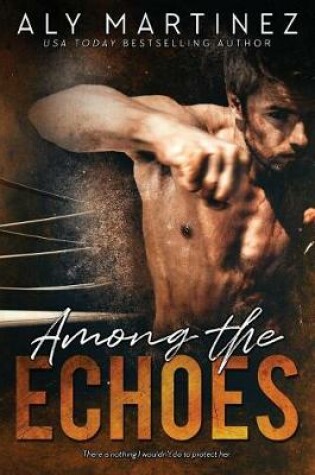 Cover of Among The Echoes