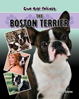 Book cover for Boston Terrier