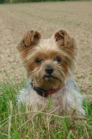 Cover of Such a Cute Yorkshire Terrier Puppy Dog Pet Journal