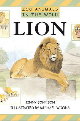 Cover of Lions