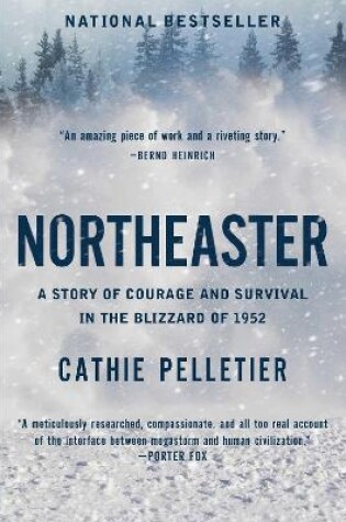 Cover of Northeaster