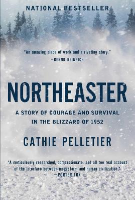 Book cover for Northeaster