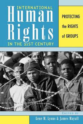 Cover of International Human Rights in the 21st Century