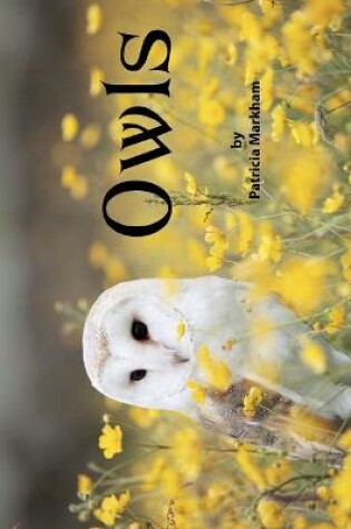 Cover of Owls