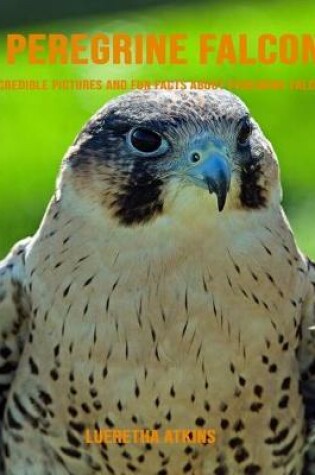 Cover of Peregrine Falcon