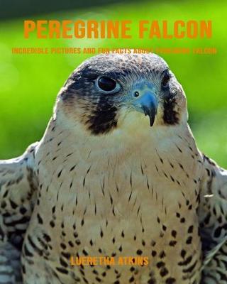 Book cover for Peregrine Falcon