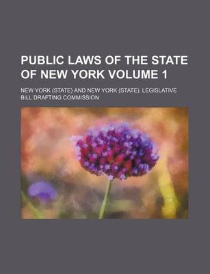 Book cover for Public Laws of the State of New York Volume 1