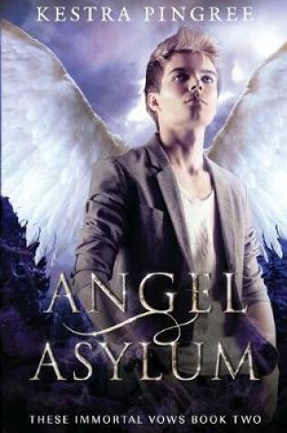 Cover of Angel Asylum