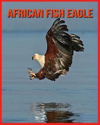 Book cover for African Fish Eagle