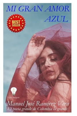 Book cover for Mi Gran Amor Azul