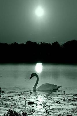 Book cover for Journal Black White Peaceful Swan Photo