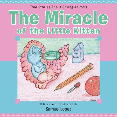 Book cover for Miracle of the Little Kitten