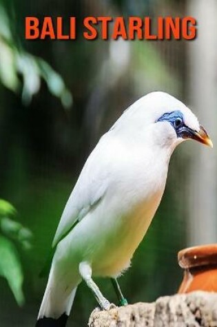 Cover of Bali Starling